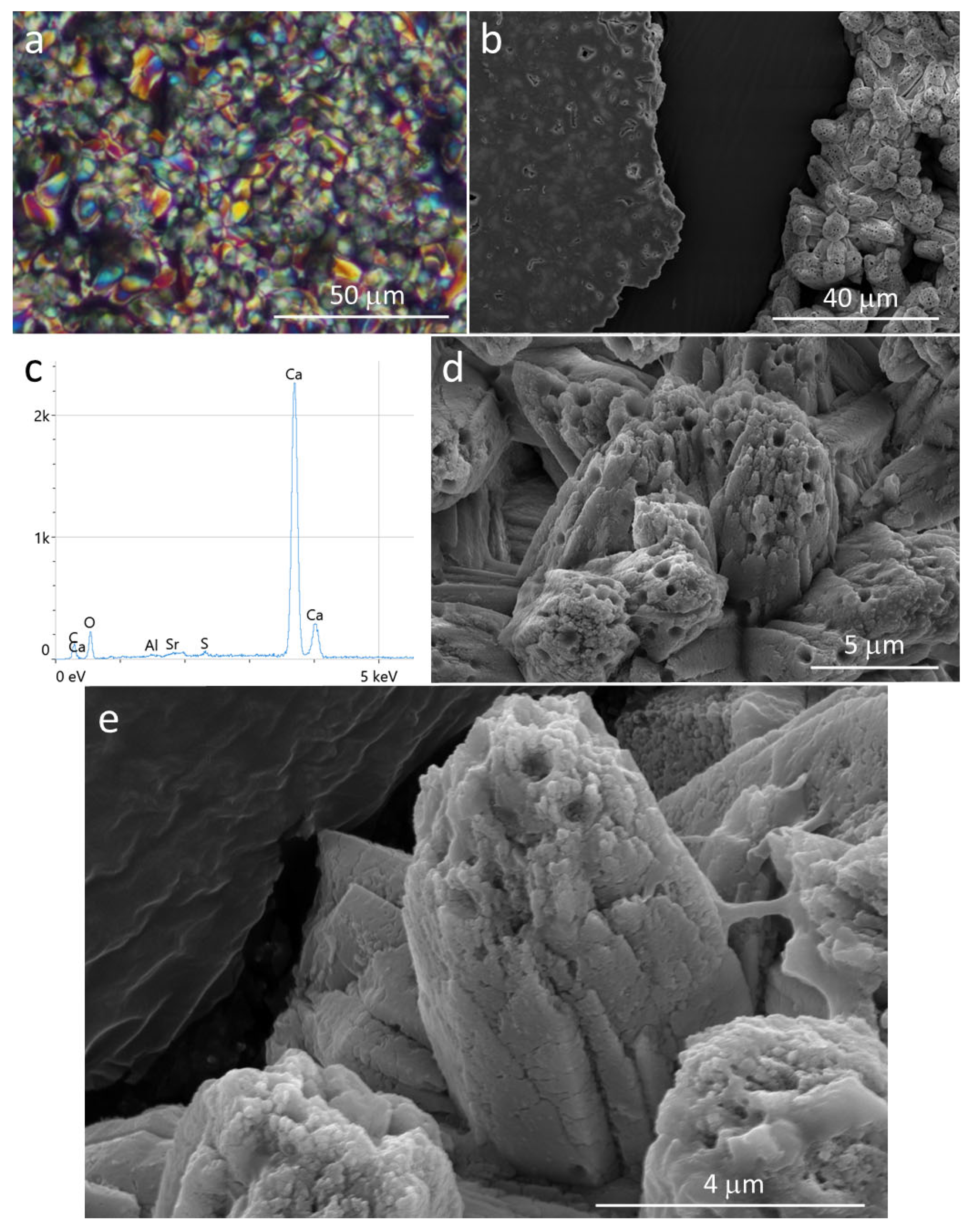 Minerals 16 00445 g006 Minerals 16 00445 g006