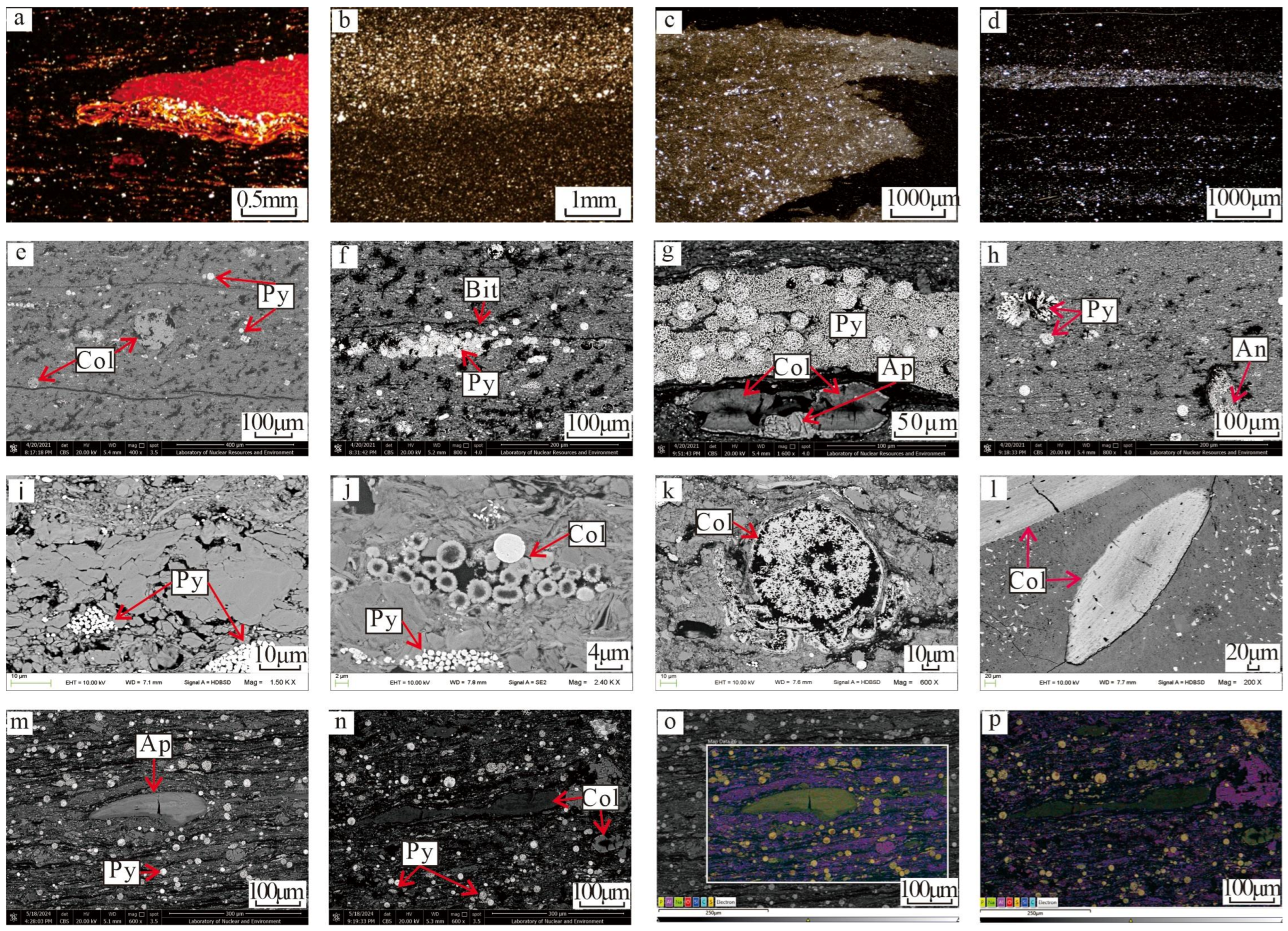 Minerals 16 00499 g003