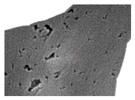 Minerals 16 00529 i002