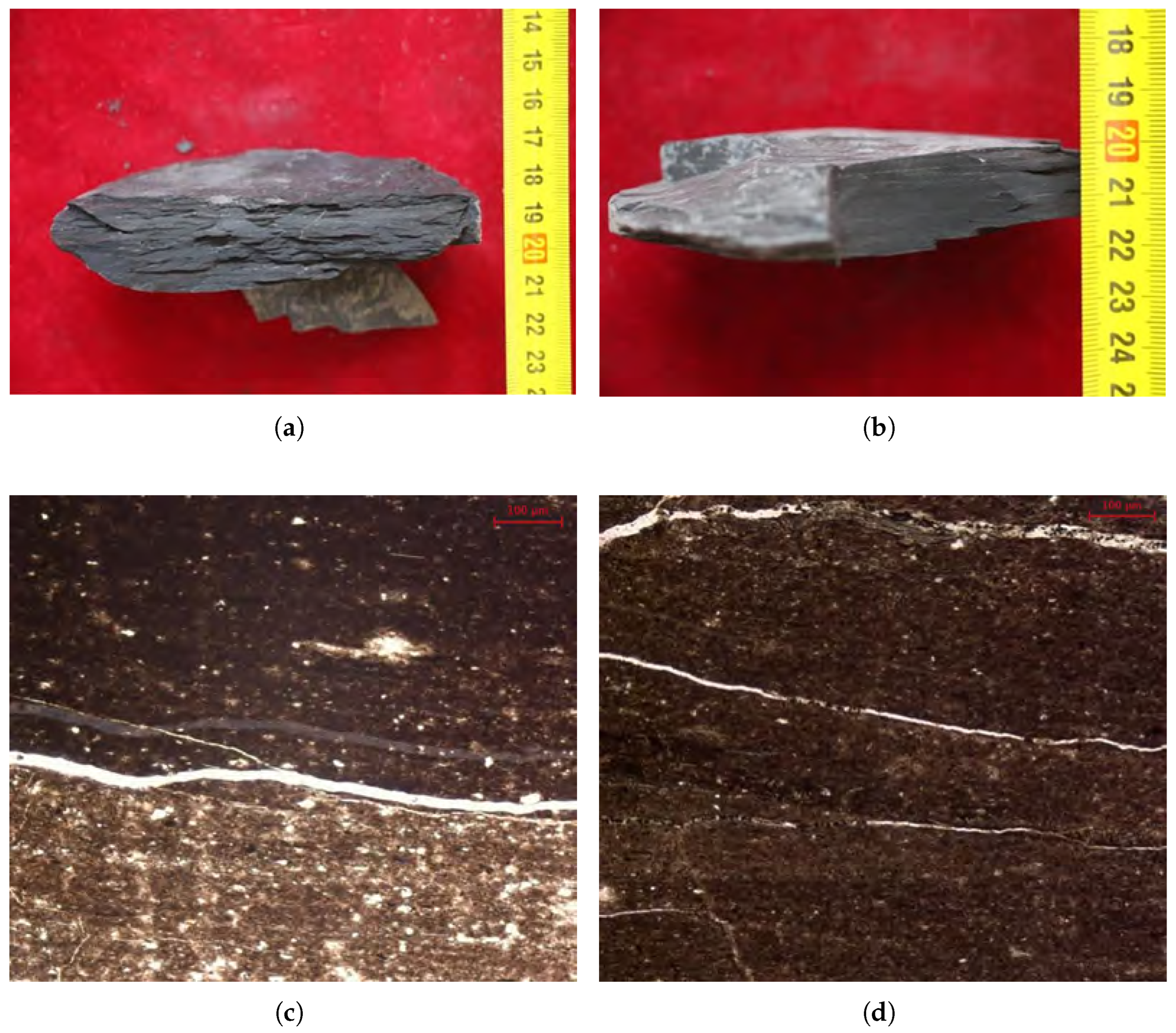 Minerals 16 00555 g004
