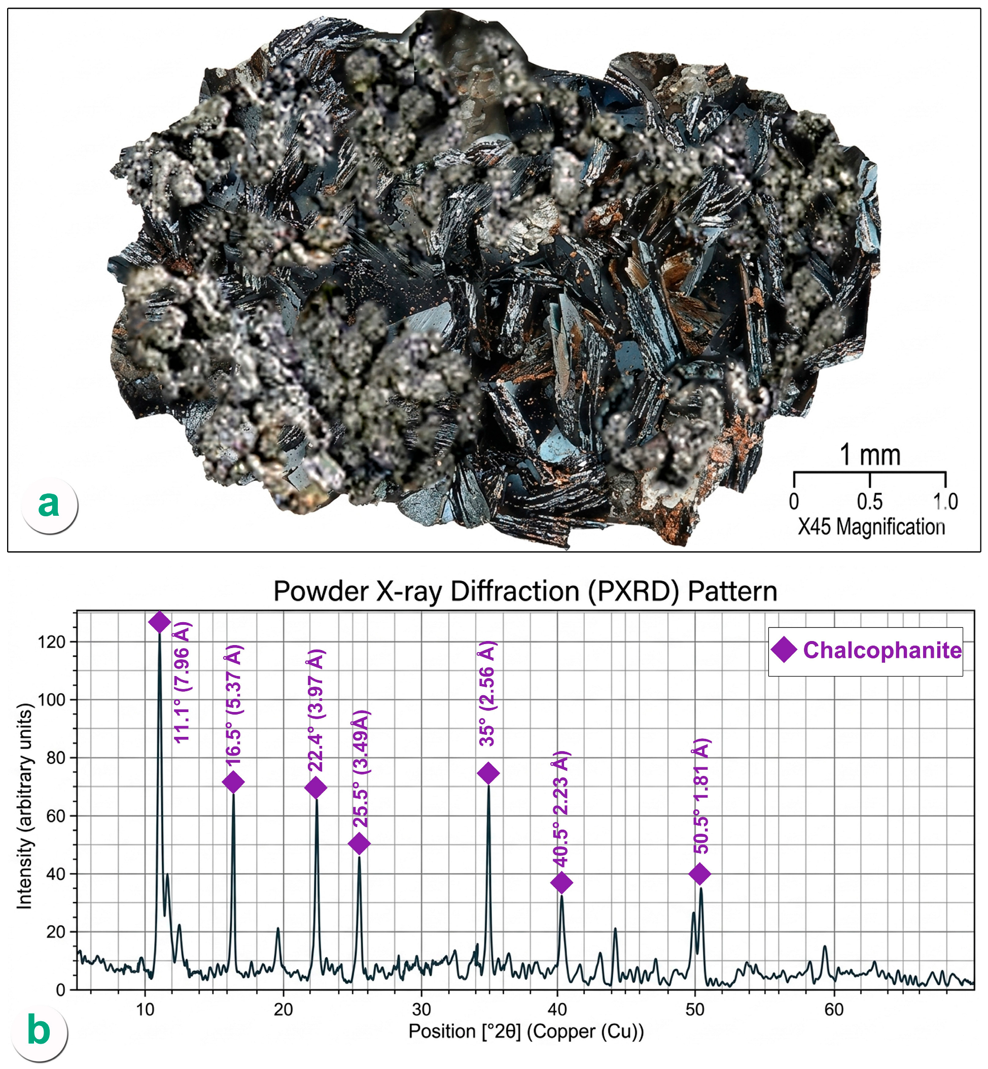 Minerals 16 00558 g015