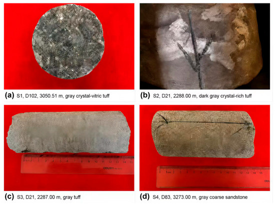 Zircon U-Pb Geochronology and Lu-Hf Isotopic Constraints on Early