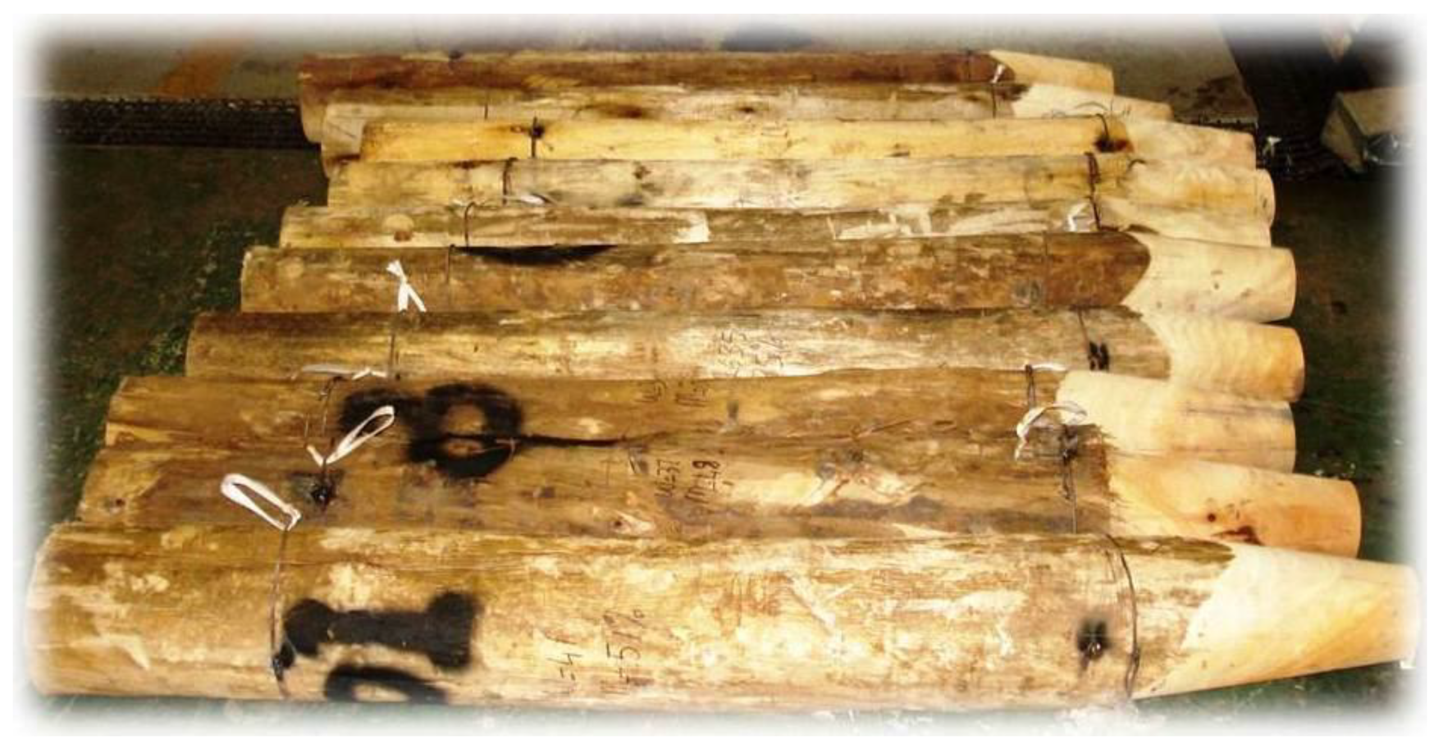 Mining 01 00023 g010 550