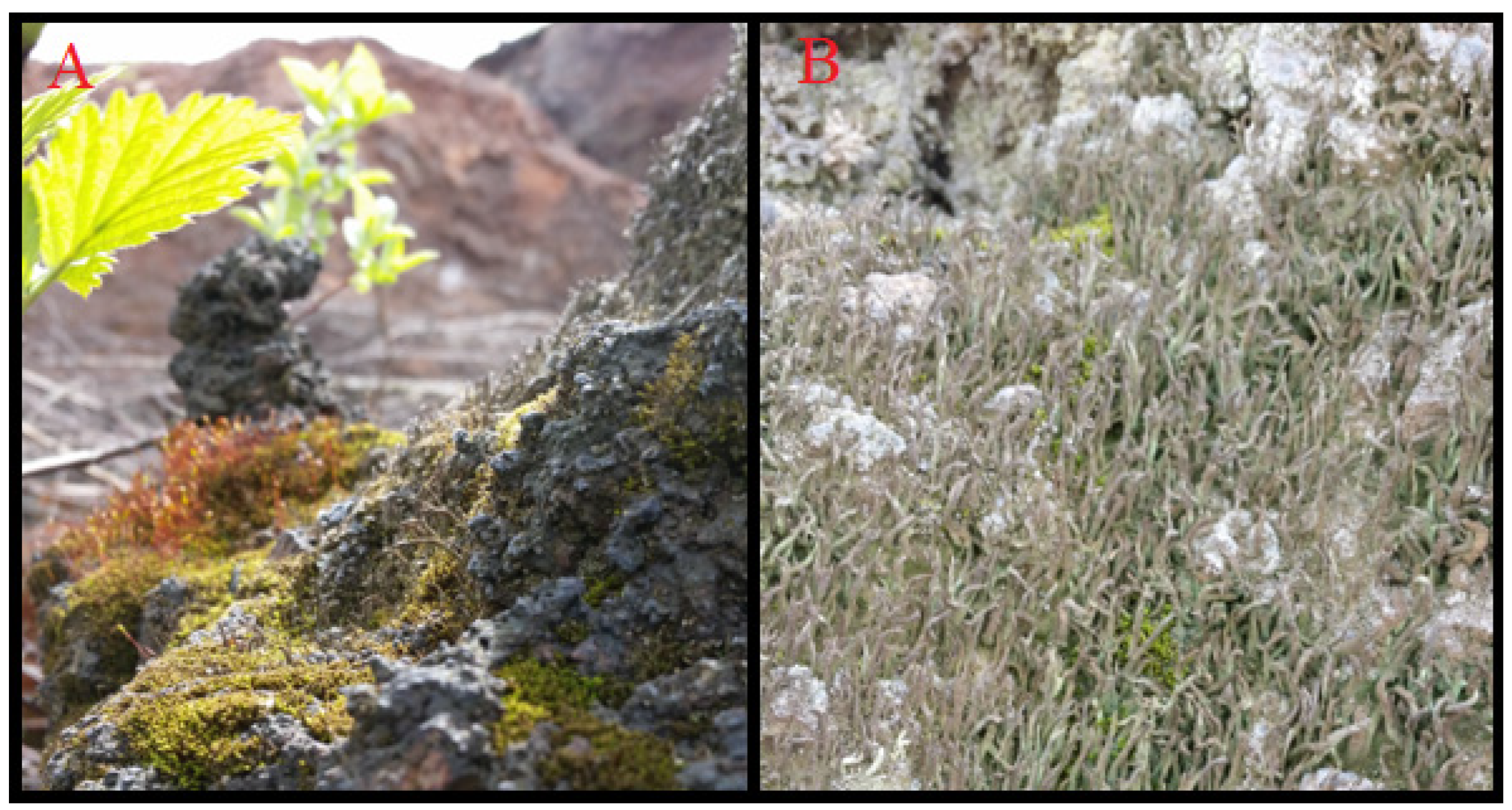 Mining 02 00033 g008