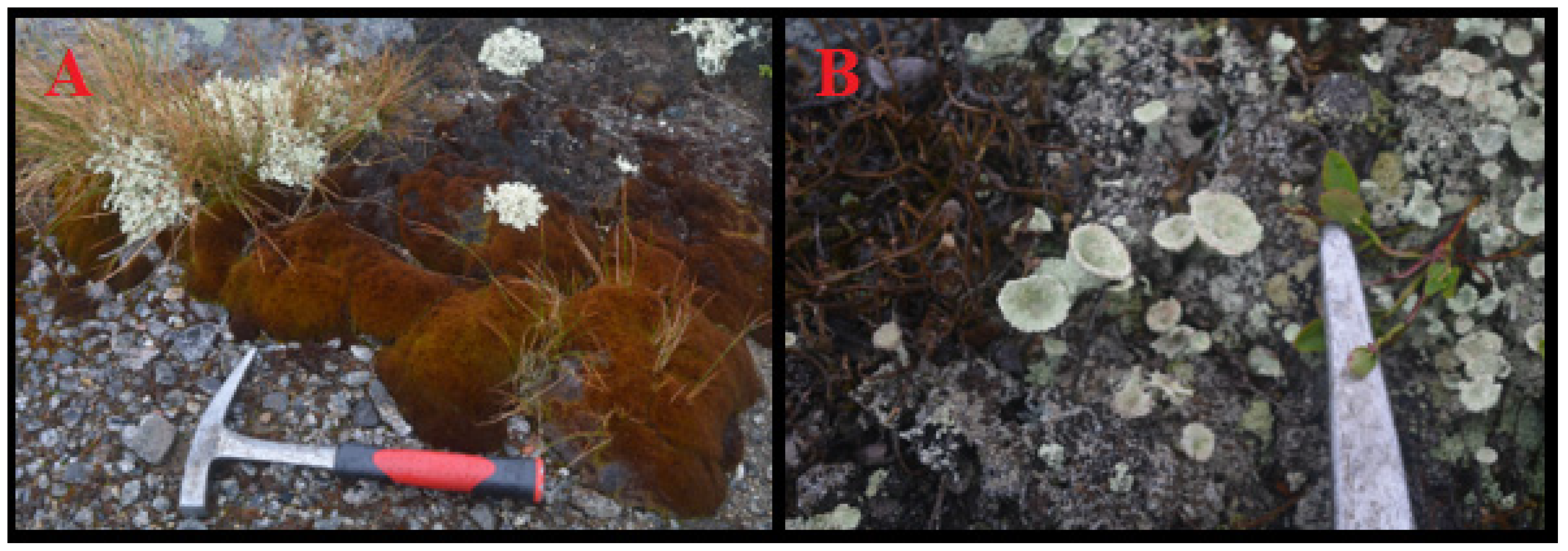 Mining 02 00037 g007