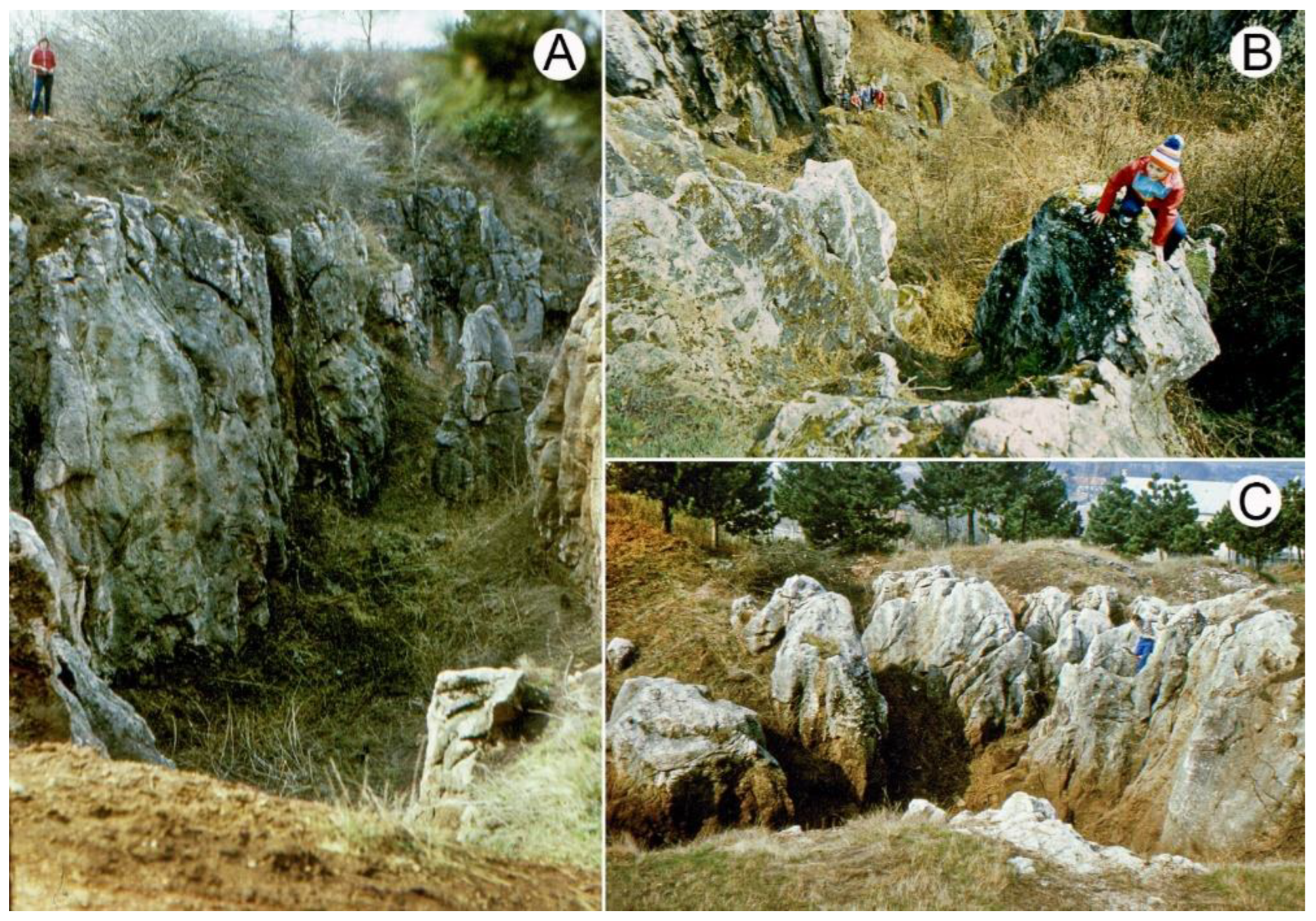Mining 02 00042 g003 550