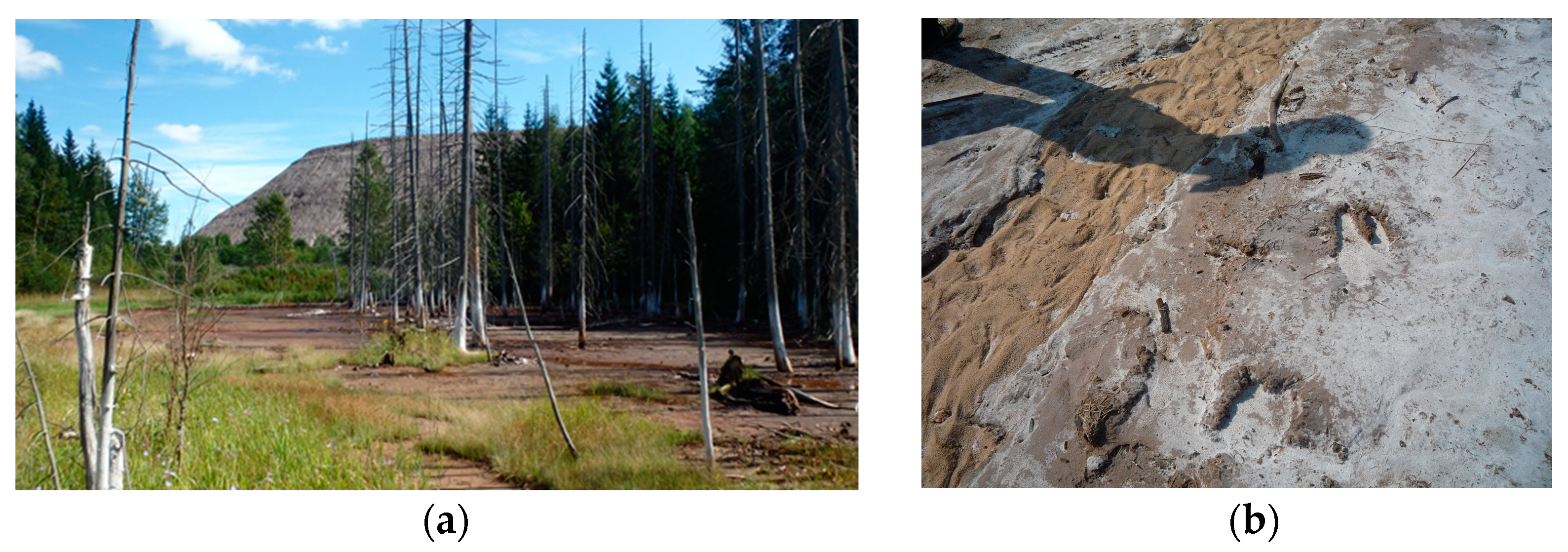 Mining 03 00011 g013 Mining 03 00011 g013