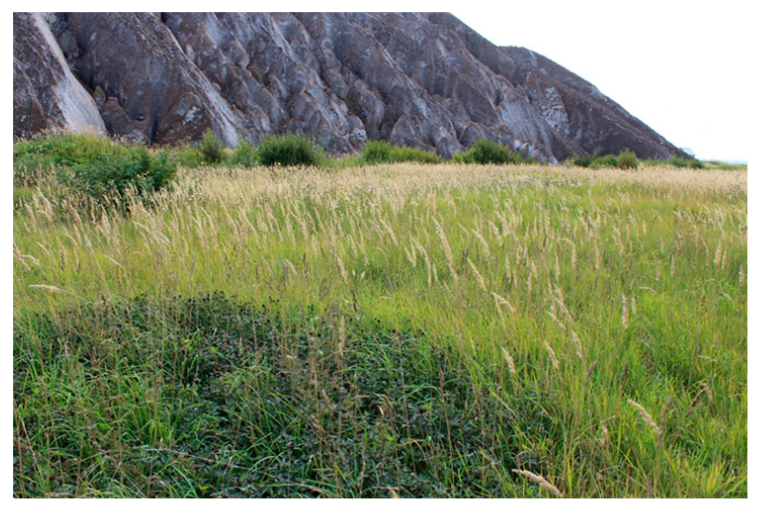 Mining 03 00011 g014 Mining 03 00011 g014