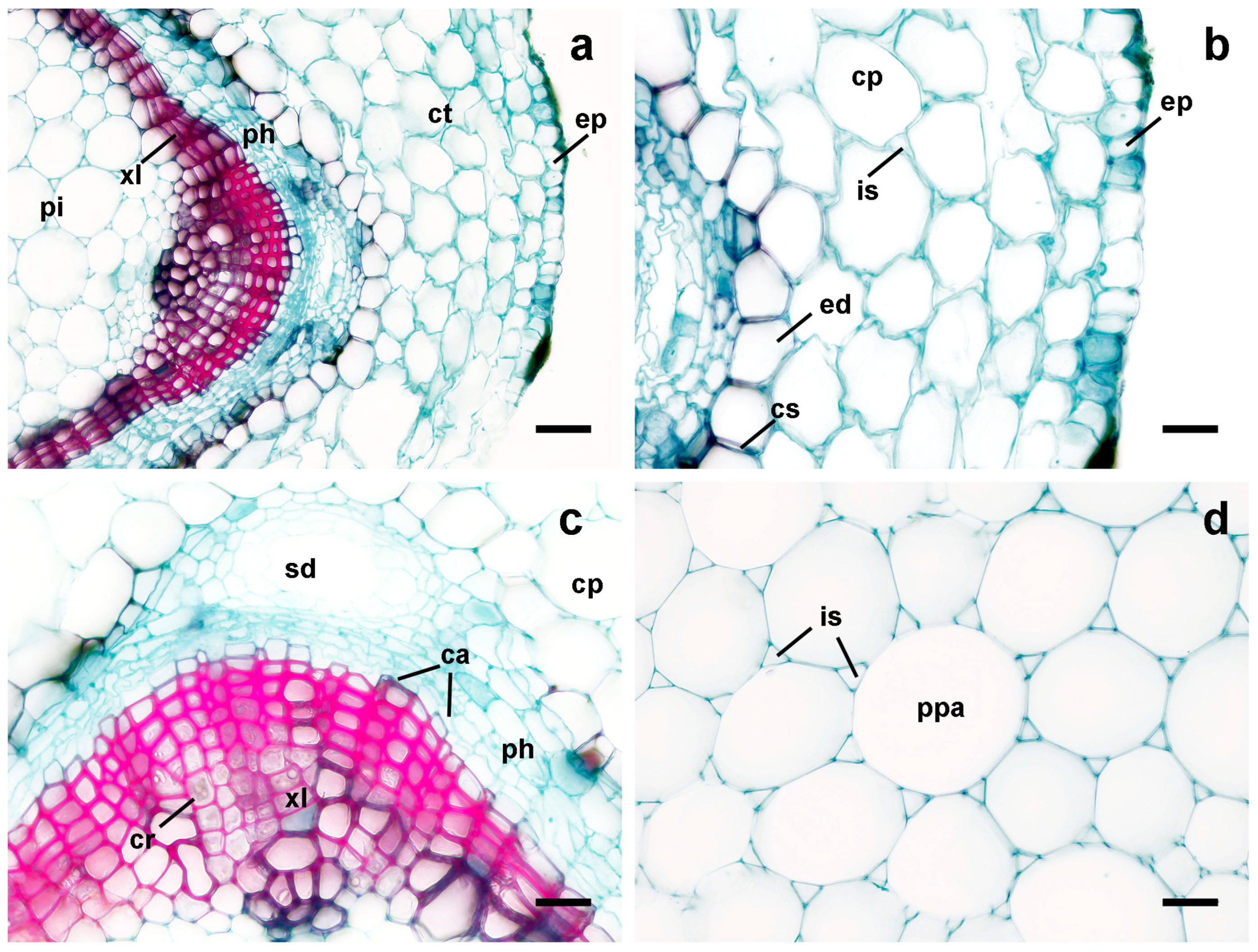 Mining 04 00040 g007