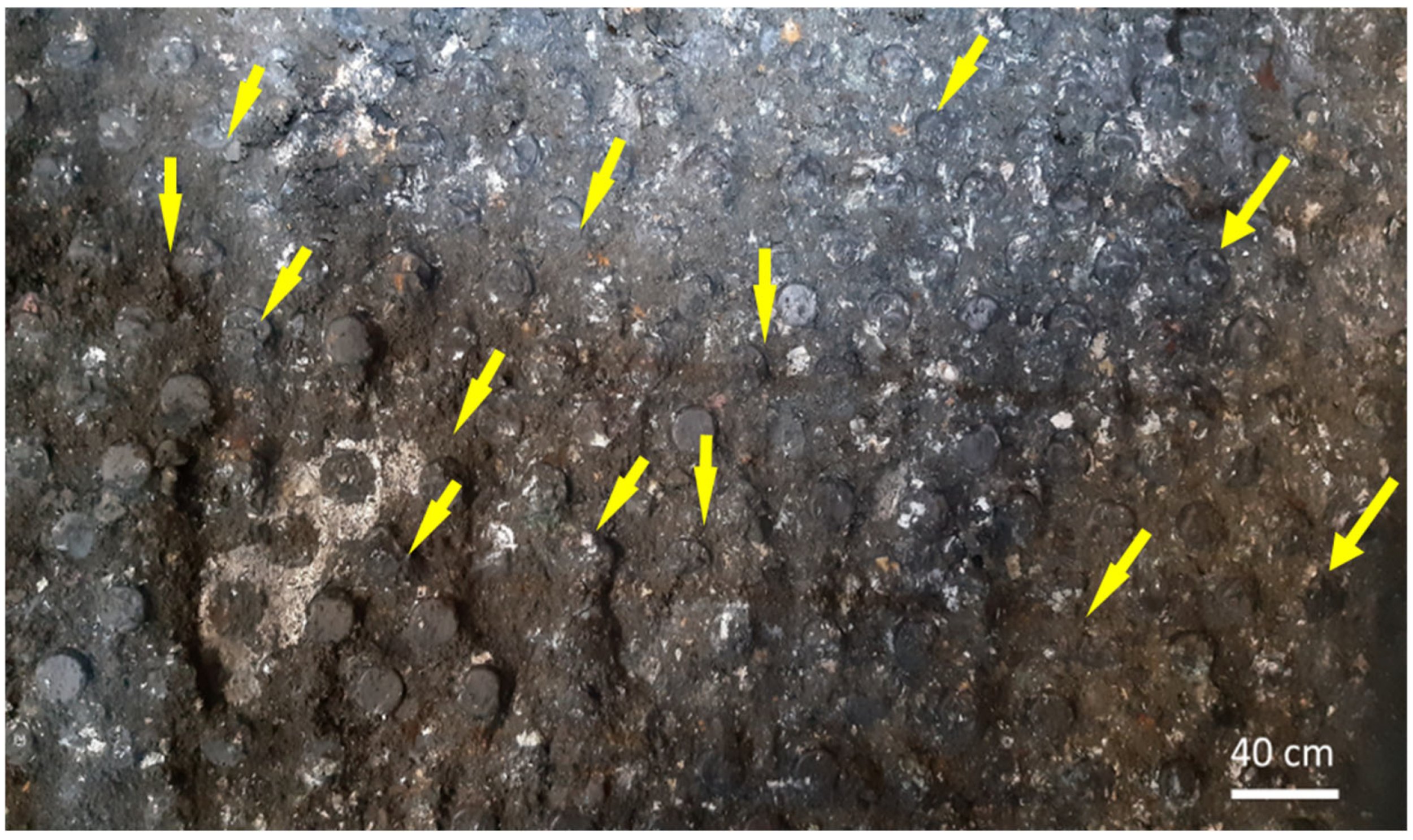 Mining 05 00047 g010