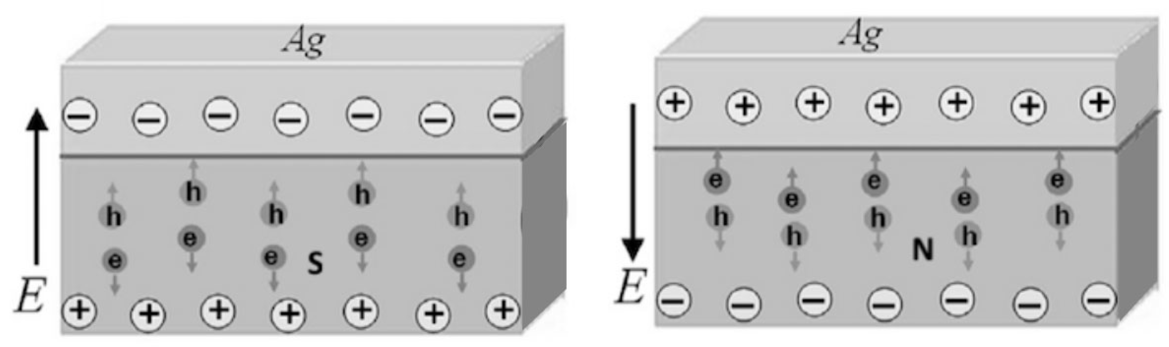 Mmphys 01 00006 g012