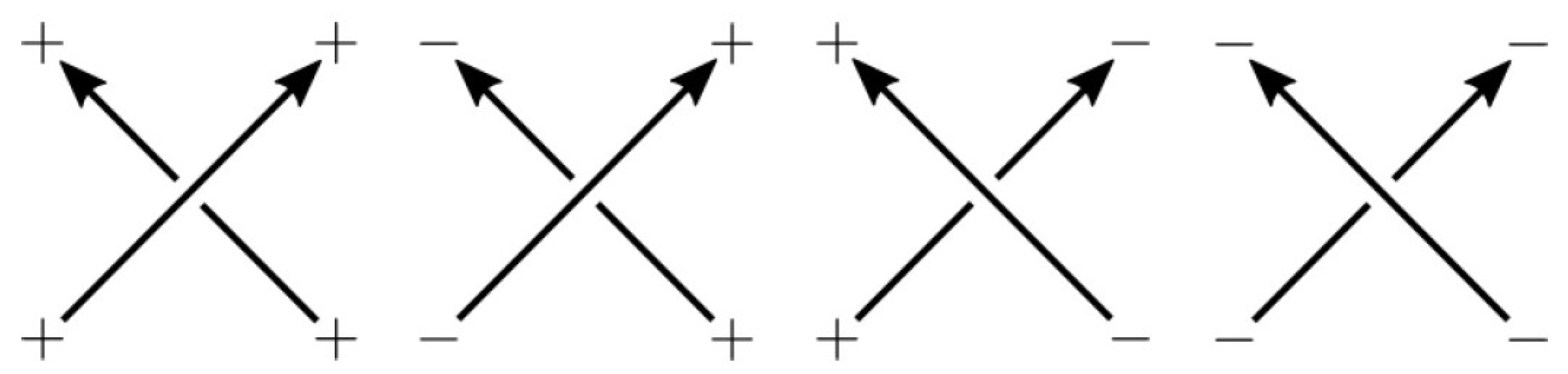 Mmphys 01 00011 g011