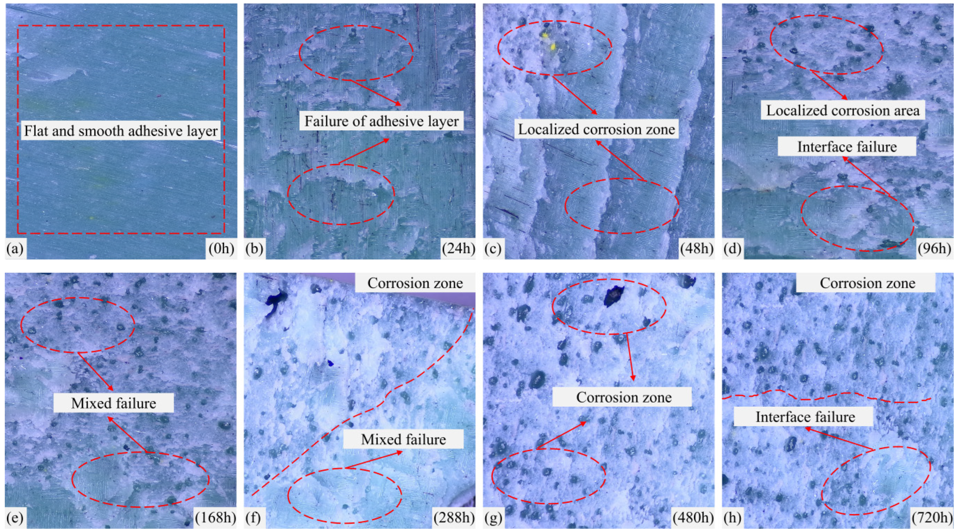 Modelling 05 00058 g009