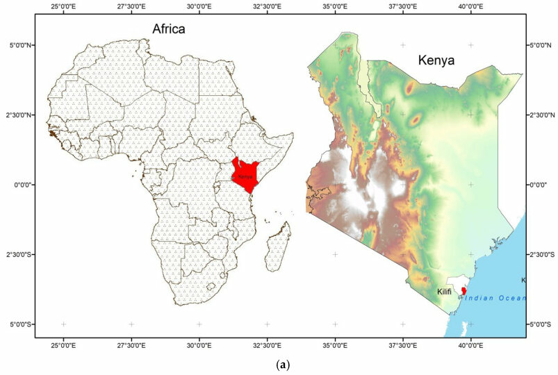 Modelling 06 00081 g004a