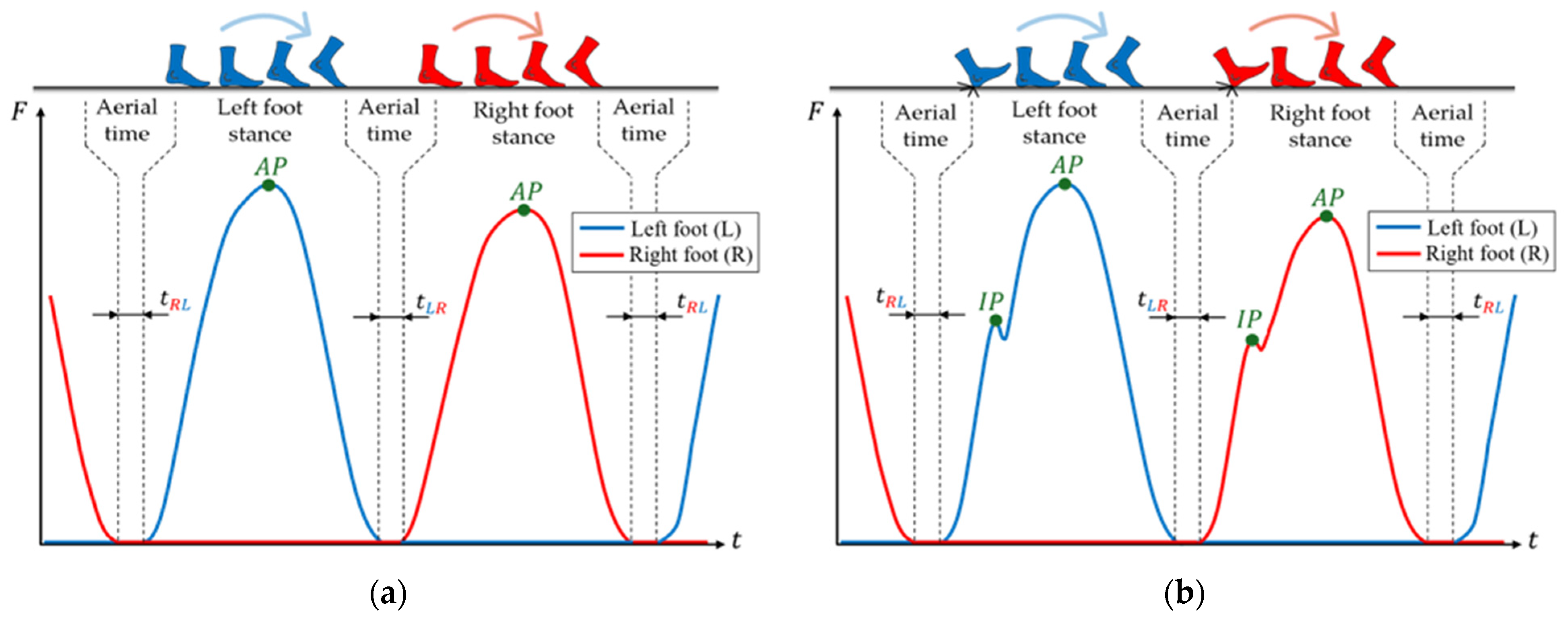 Modelling 06 00144 g001