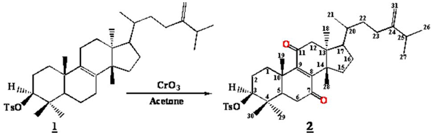 Molbank 2004 m366 i001