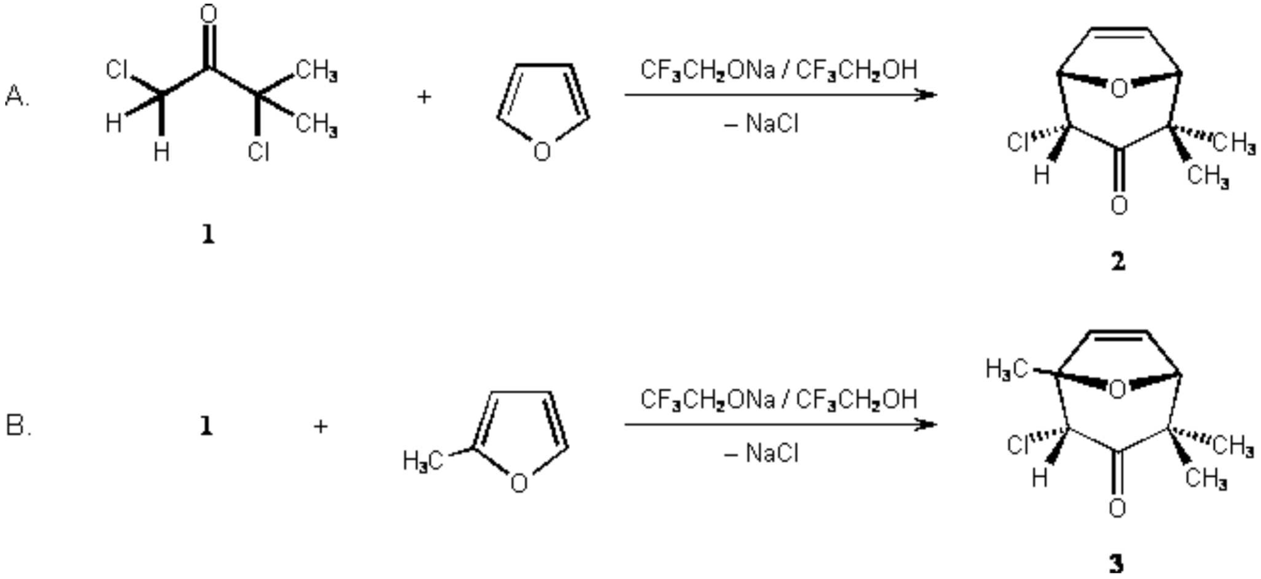 Molbank 2005 m406 i001
