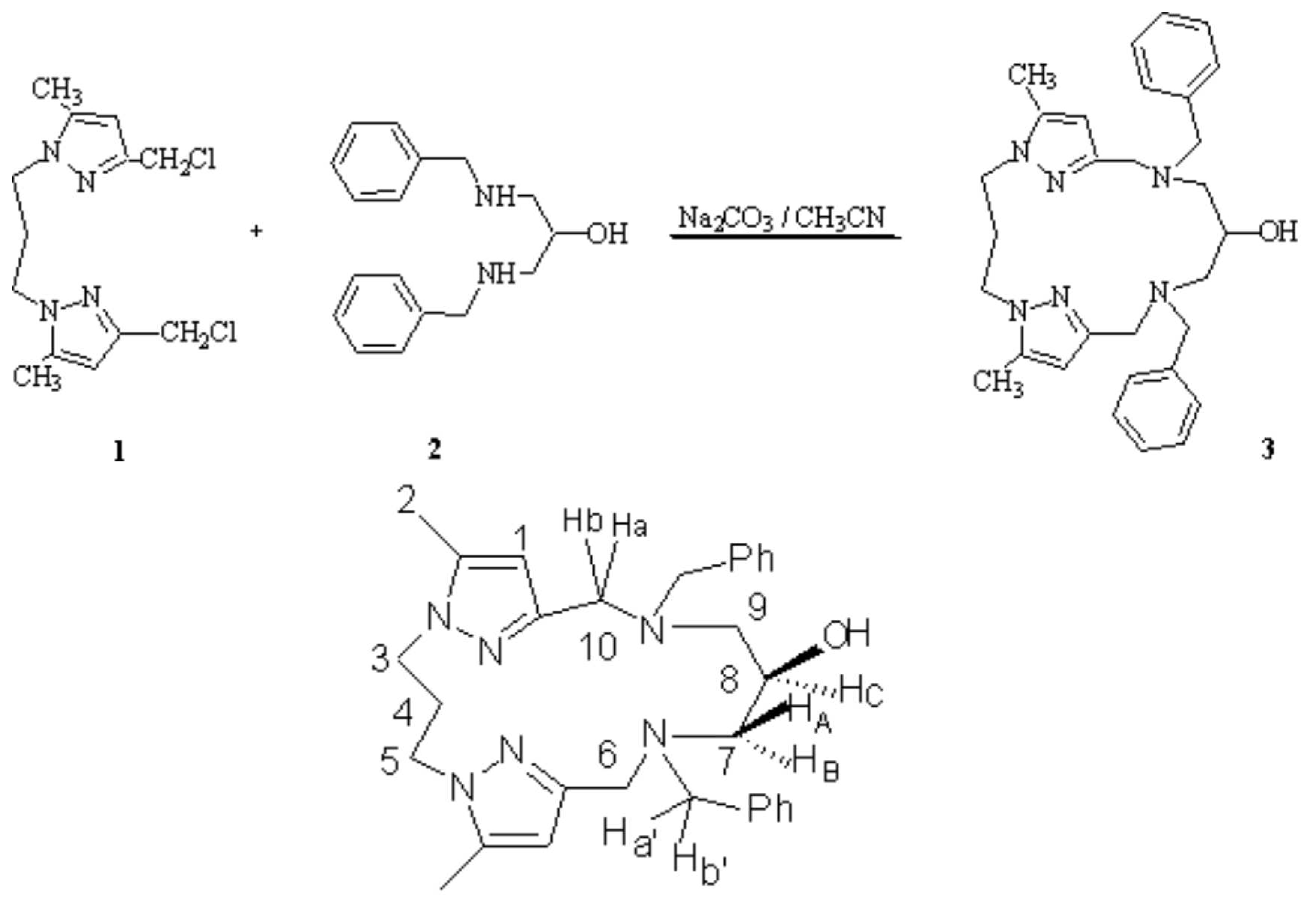 Molbank 2005 m446 i001