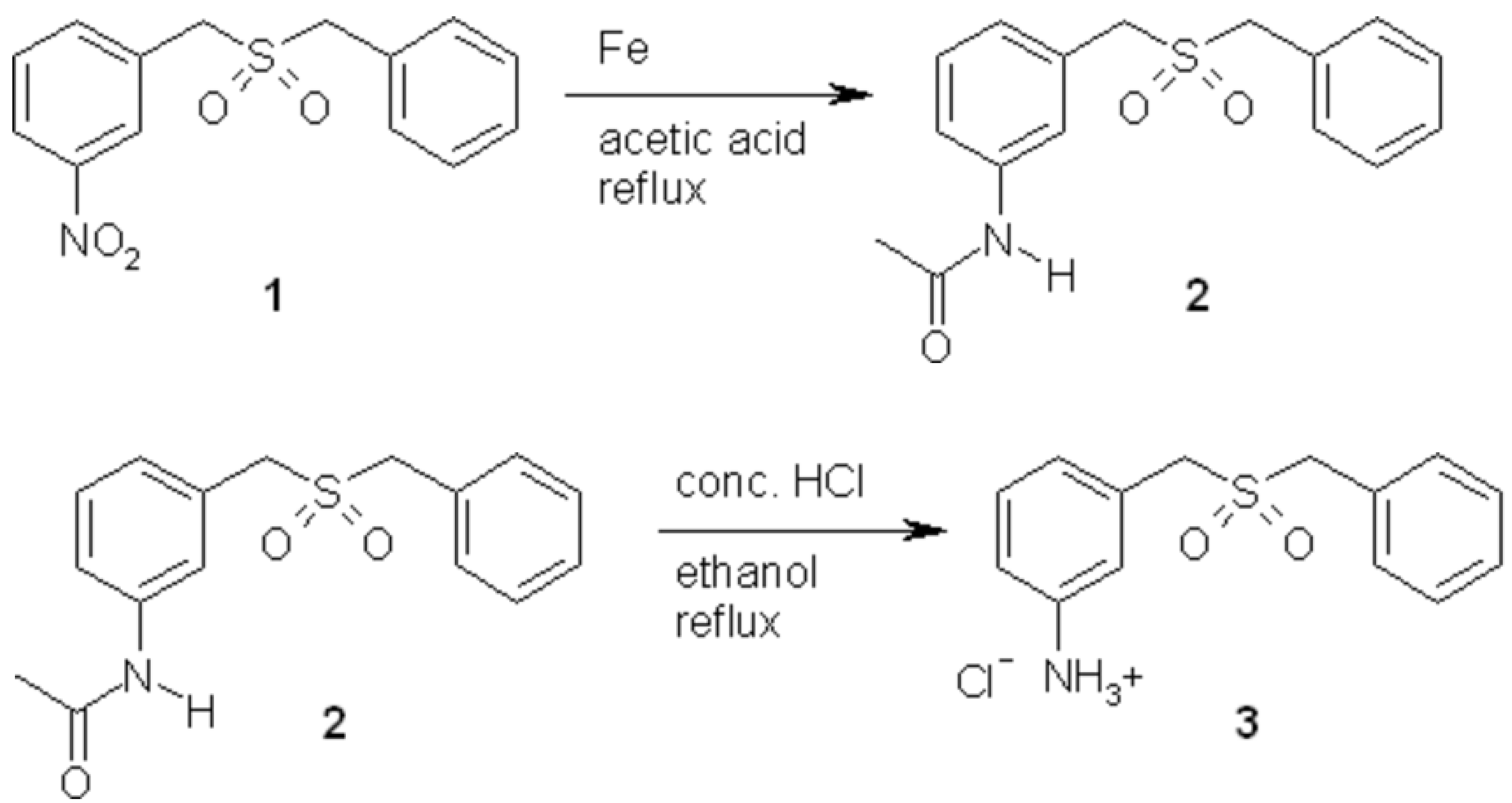 Molbank 2006 m503 i001