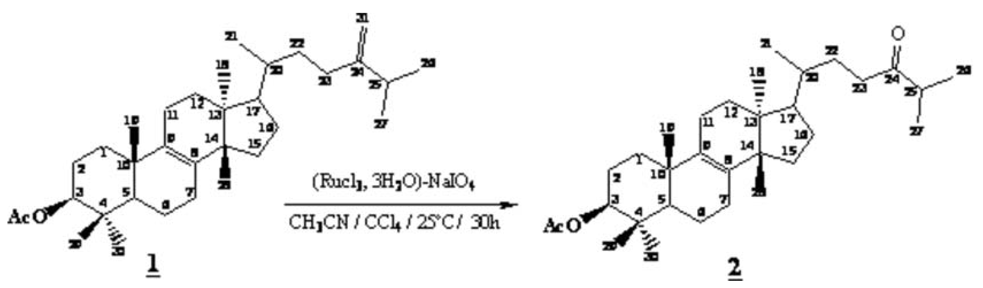 Molbank 2006 m506 i001