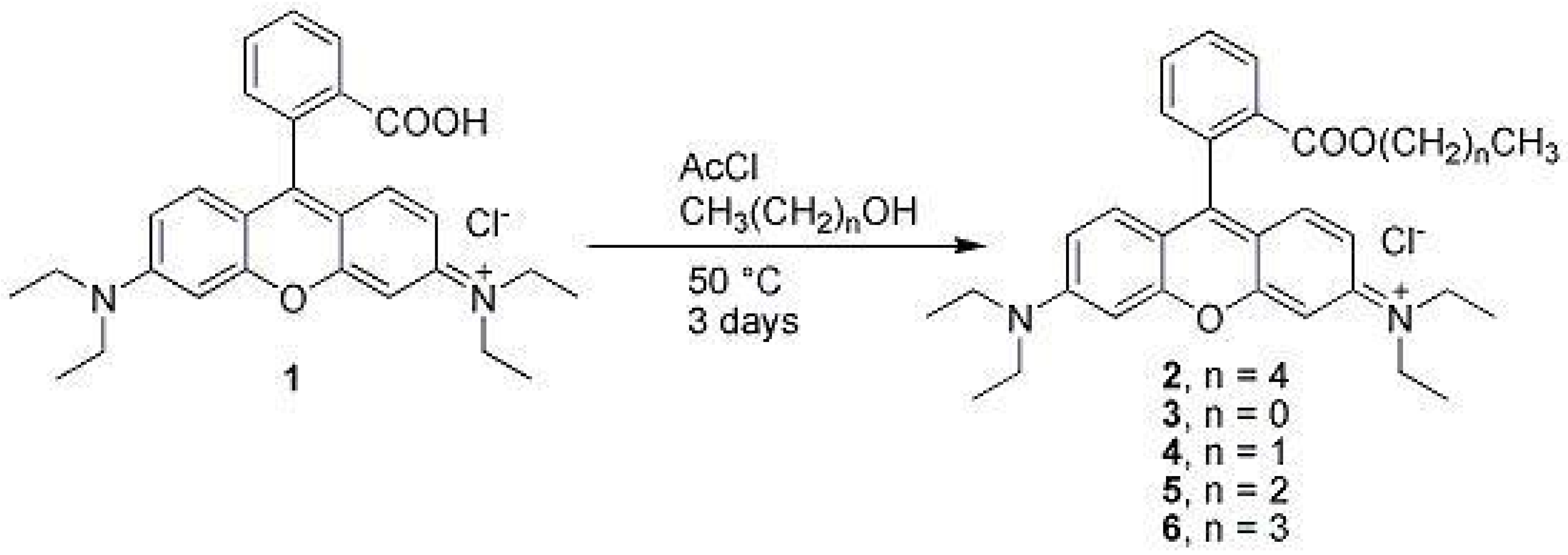 Molbank 2006 m515 g001