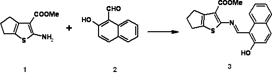 Molbank 2007 m524 i001