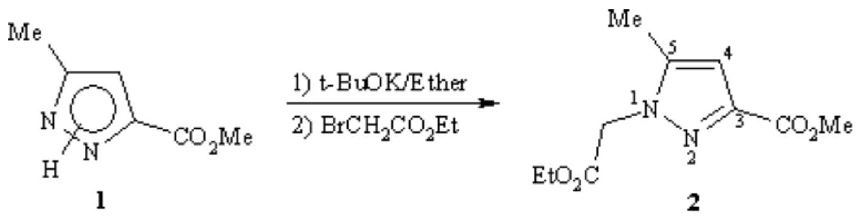 Molbank 2007 m528 i001