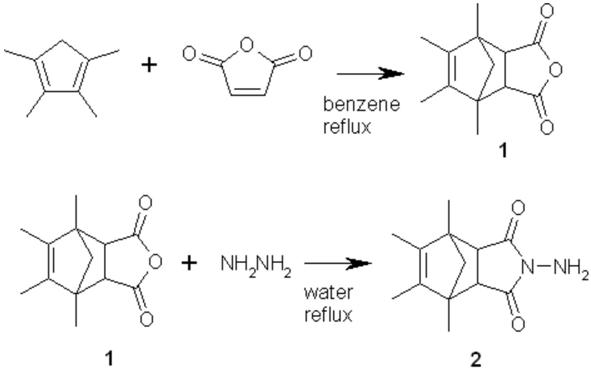 Molbank 2007 m534 i001