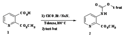 Molbank 2007 m545 i001