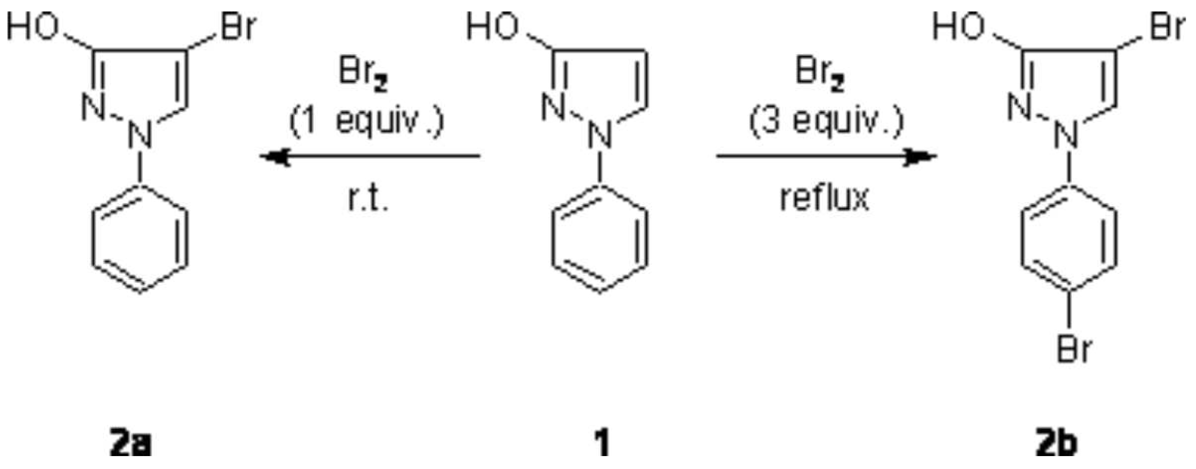 Molbank 2007 m551 sch001 550