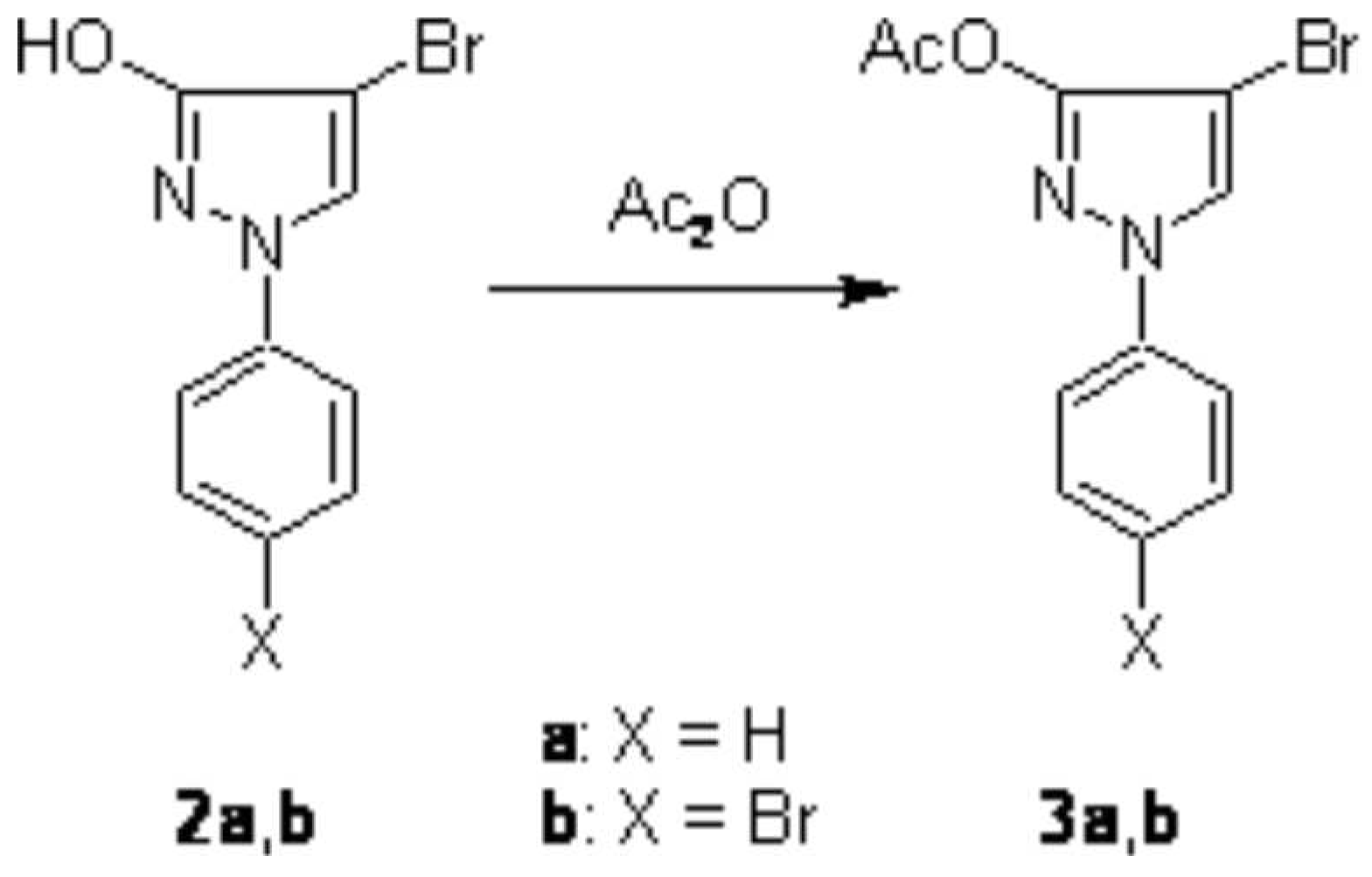 Molbank 2007 m551 sch002 550
