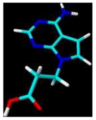 Molbank 2007 m555 i002