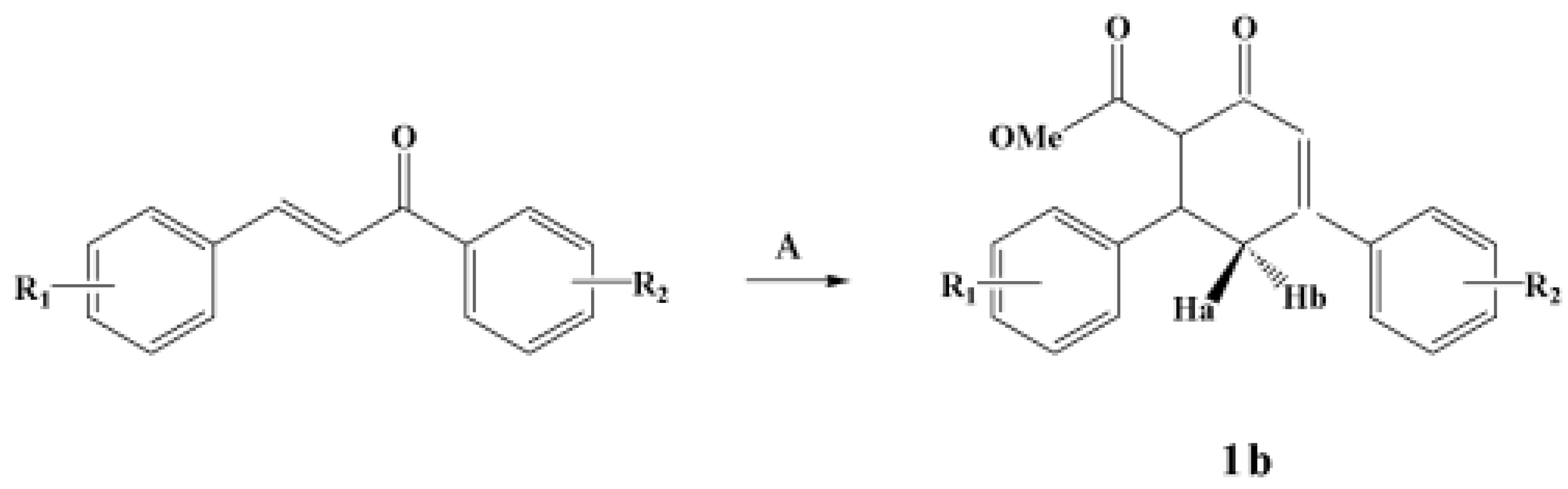 Molbank 2007 m558 sch001 550