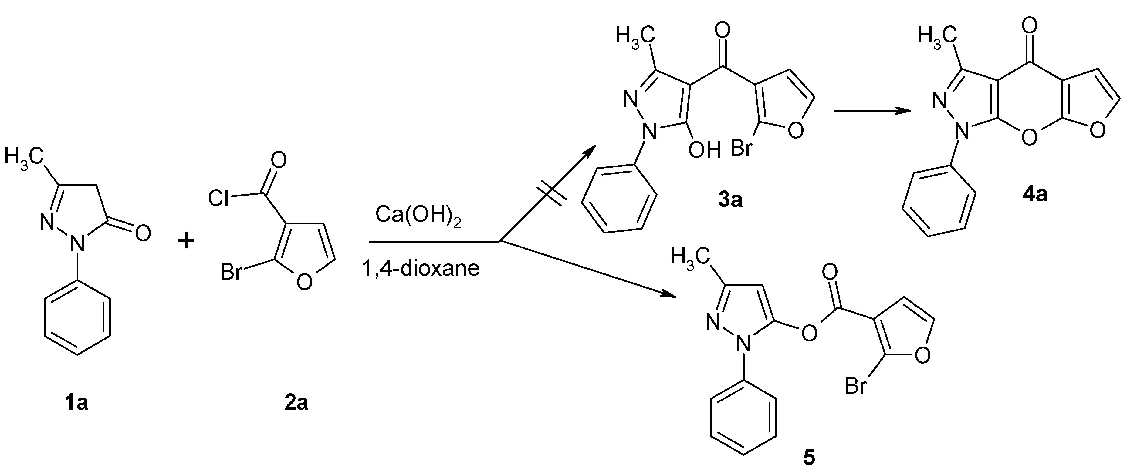 Molbank 2009 m603 sch002