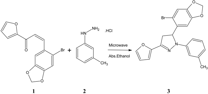 Molbank 2009 m613 i001
