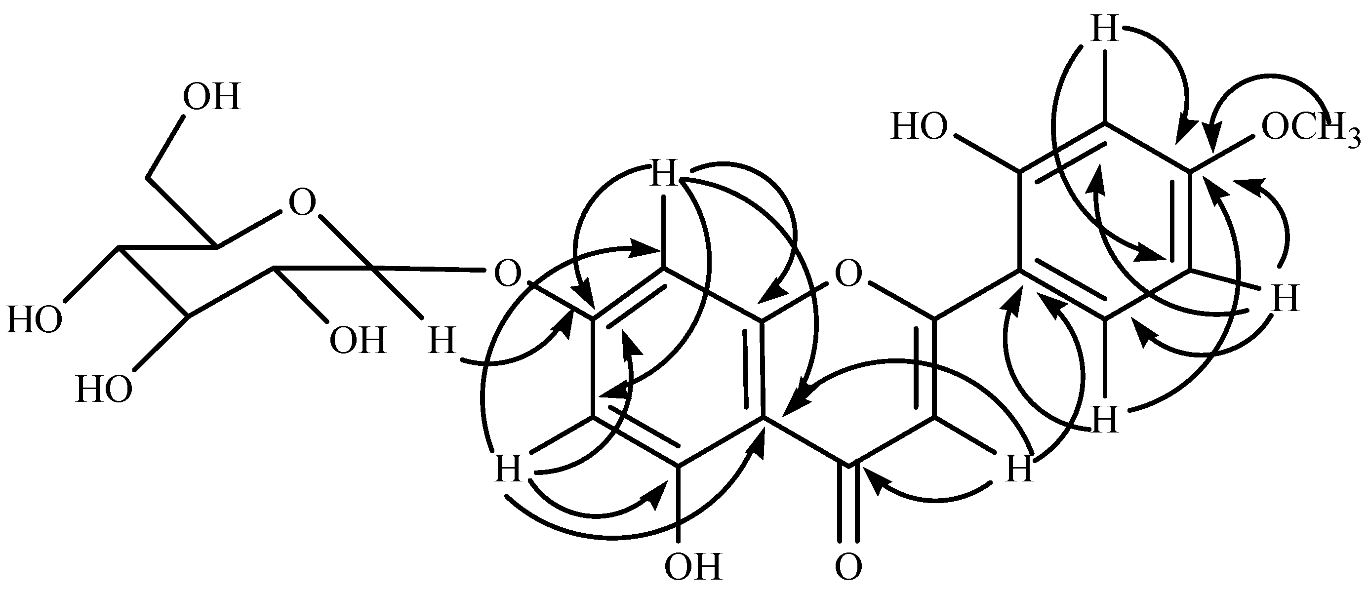 Molbank 2009 m622 g002