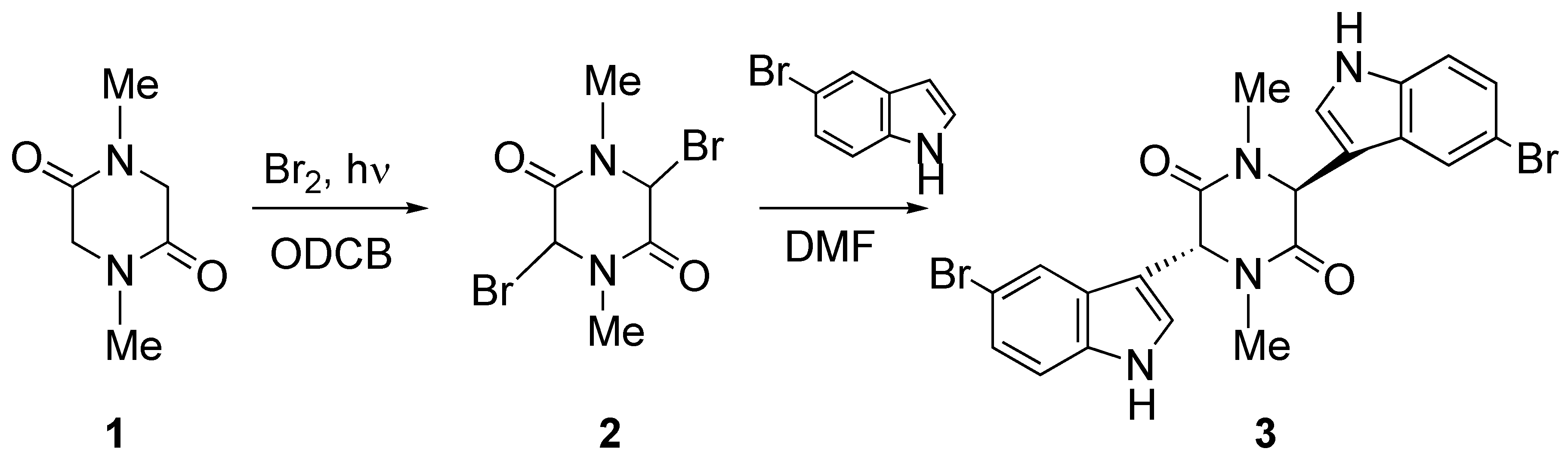 Molbank 2009 m627 sch001 550