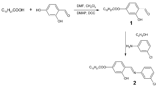 Molbank 2009 m629 i001