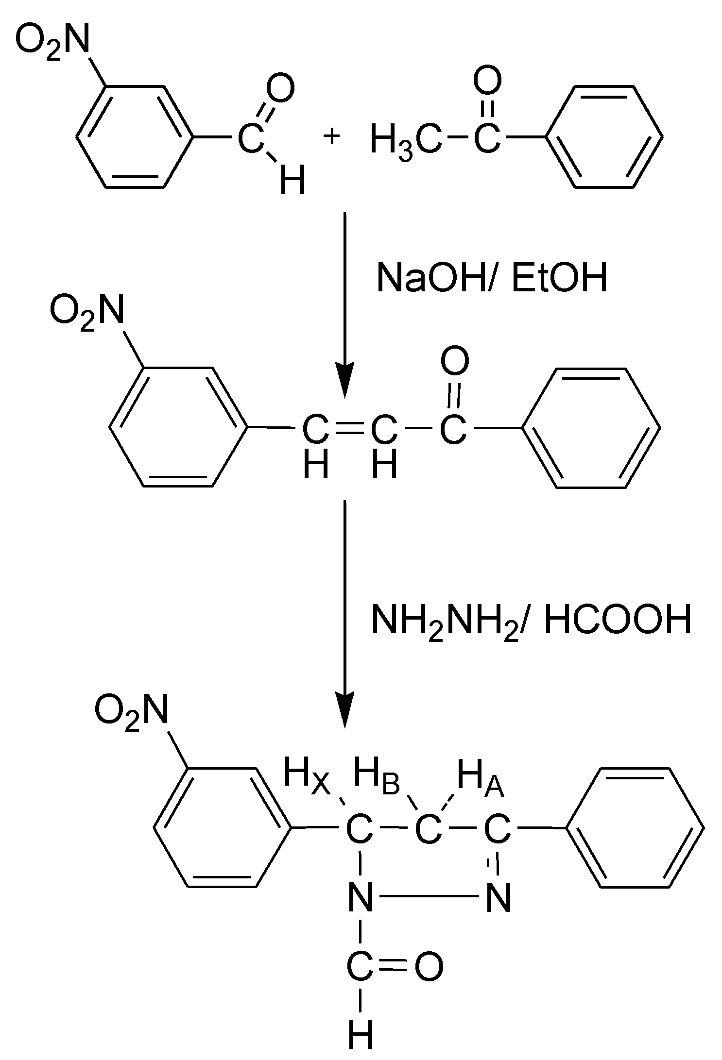Molbank 2010 m650 sch001