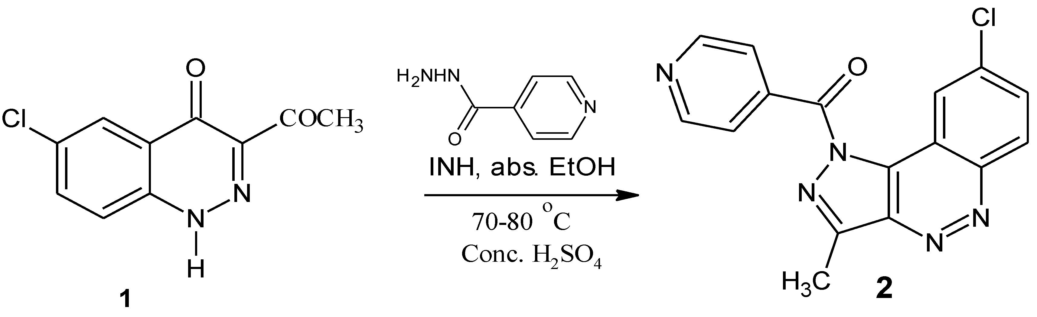 Molbank 2010 m688 sch001