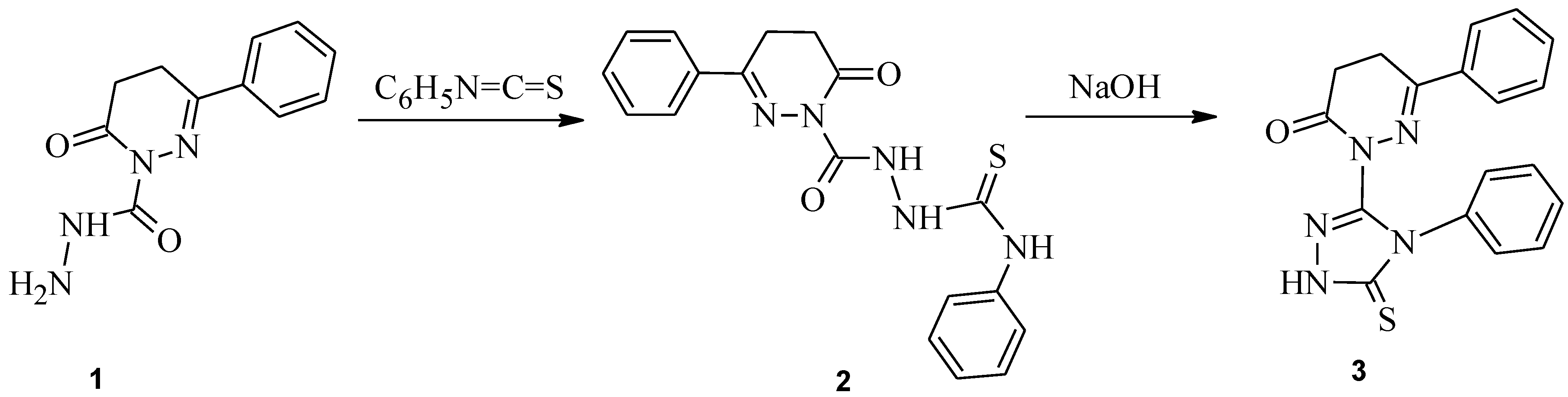Molbank 2010 m700 g001
