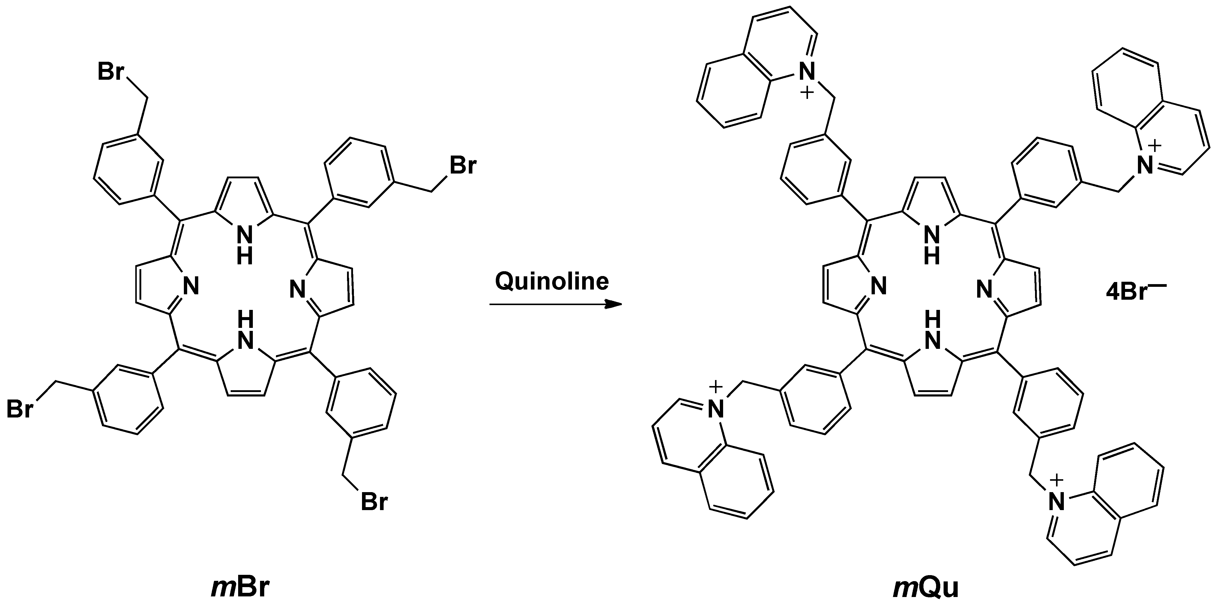 Molbank 2010 m704 sch001 550