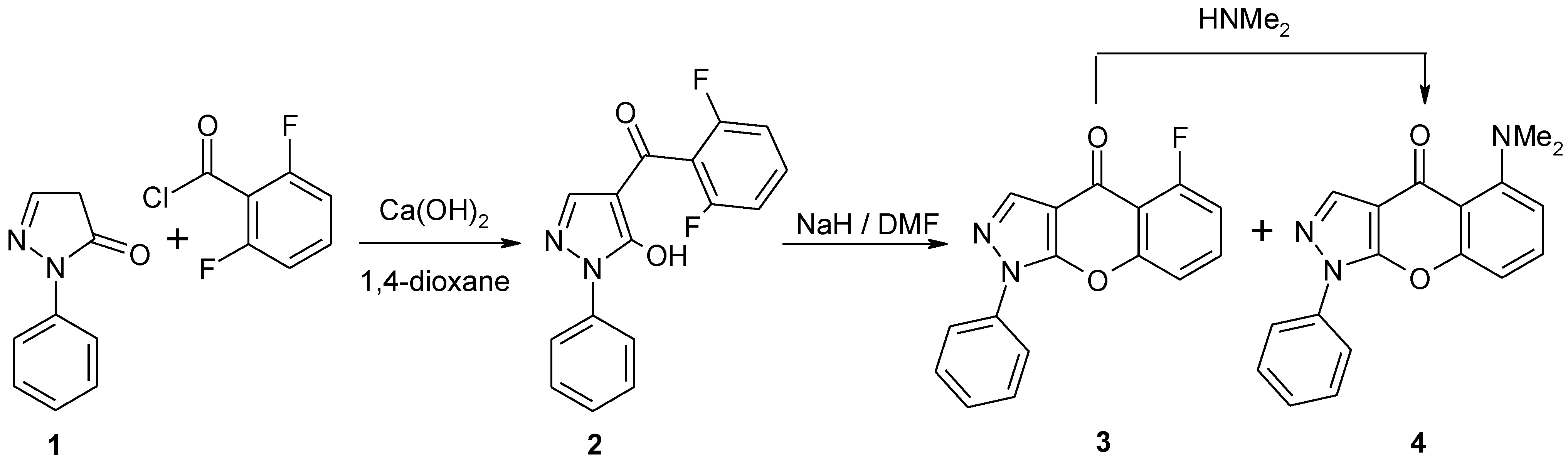 Molbank 2010 m706 sch001 550
