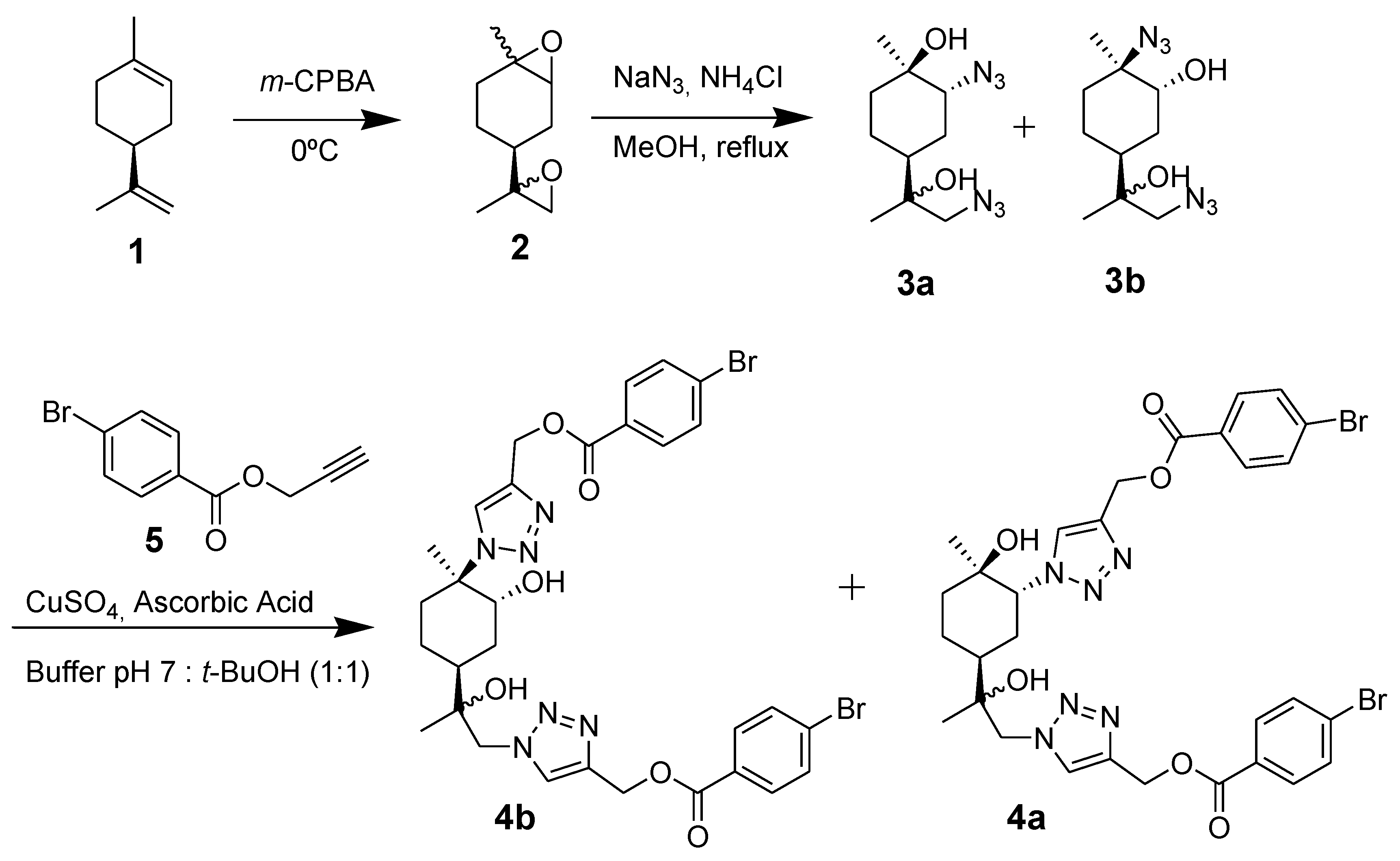 Molbank 2011 m721 sch001