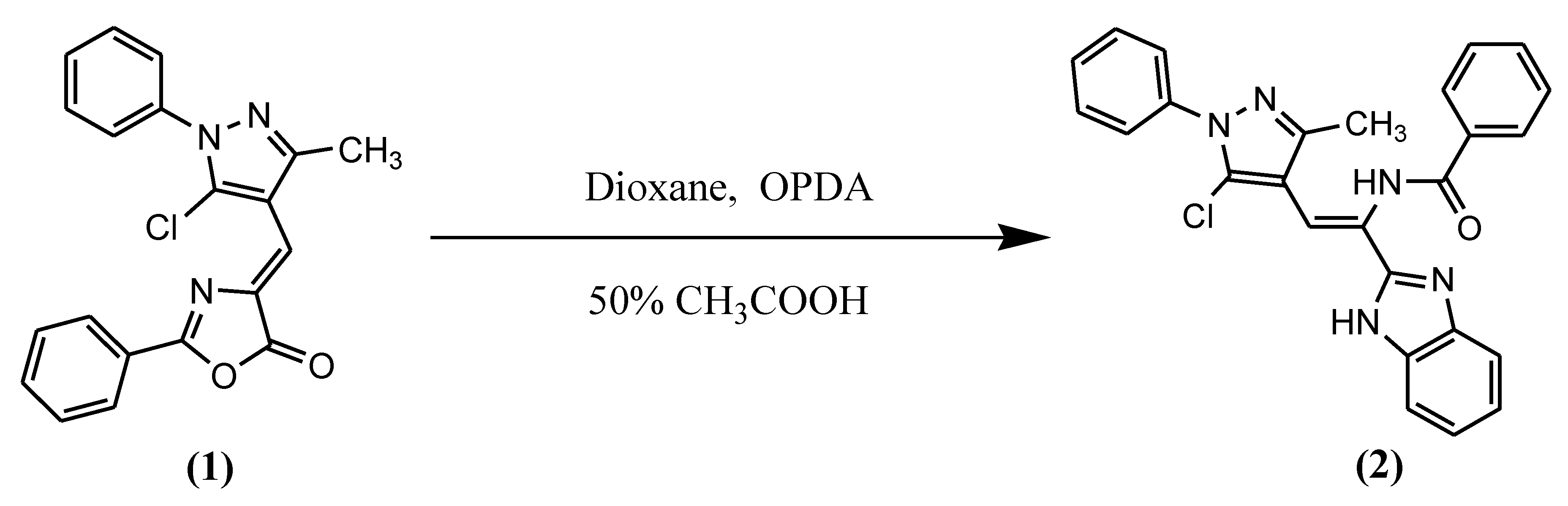 Molbank 2011 m731 sch001