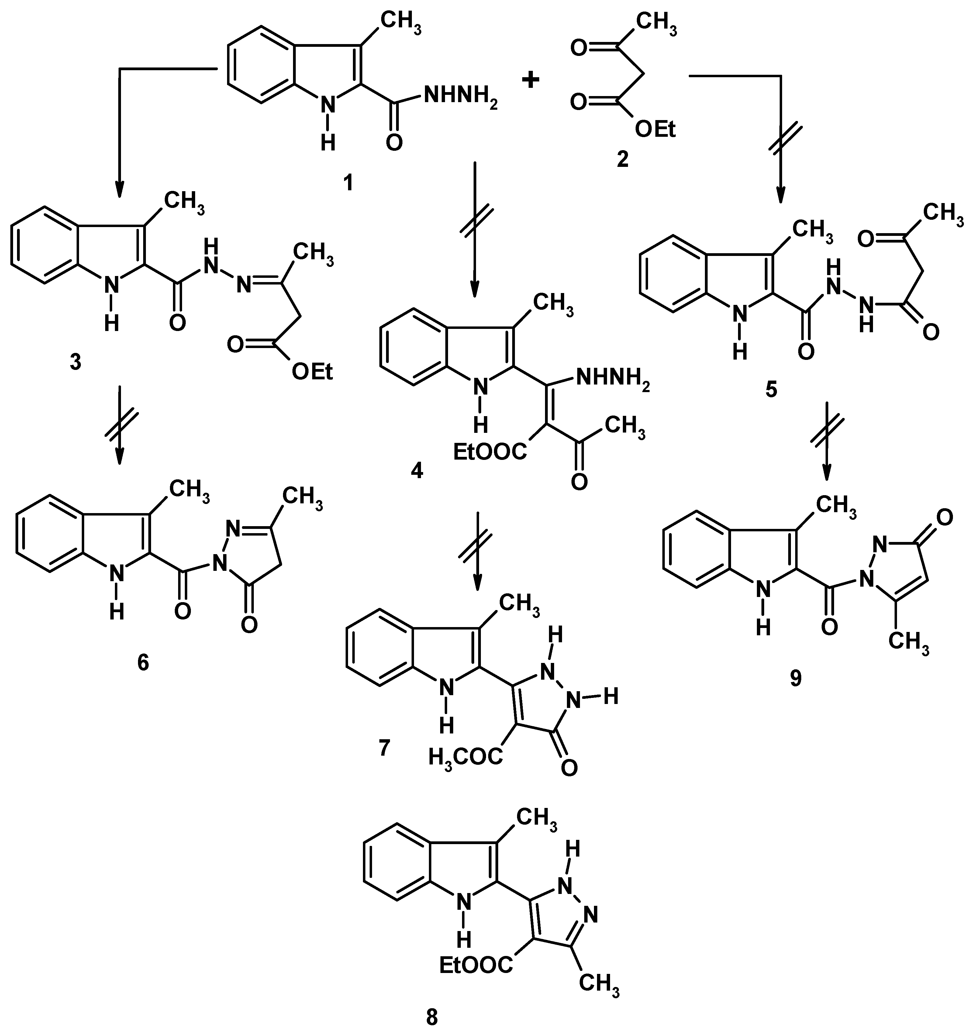 Molbank 2012 m749 sch001
