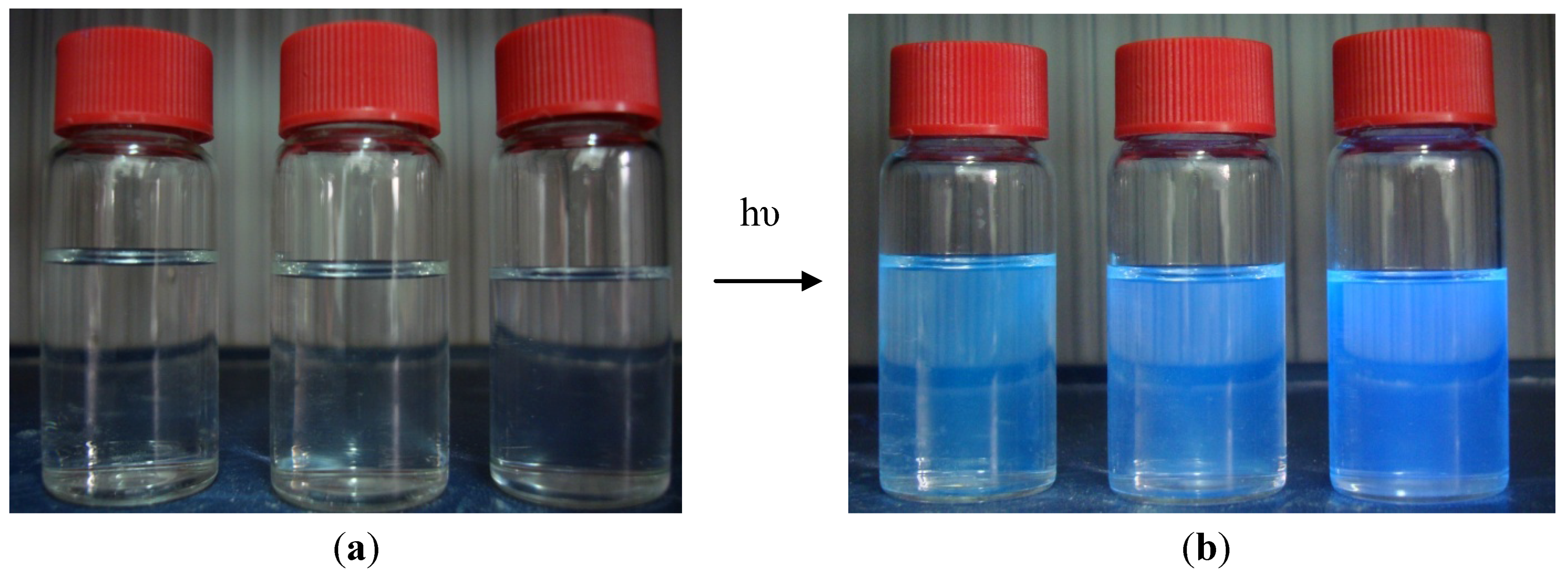 Molbank 2012 m775 g002 550