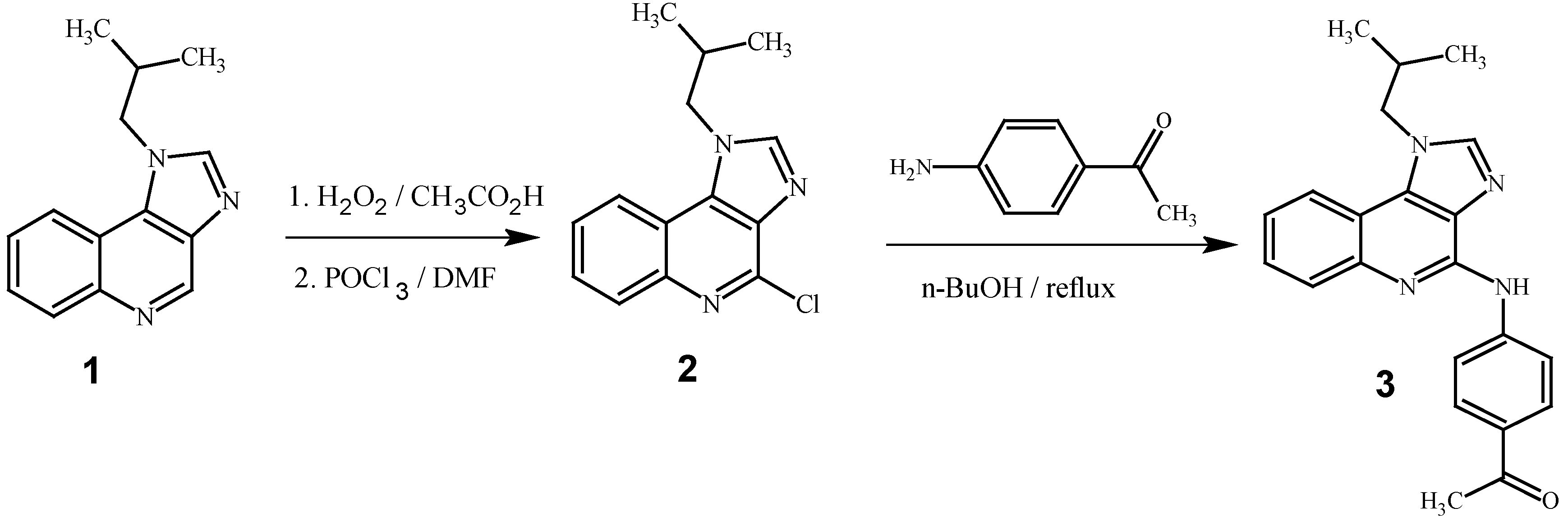 Molbank 2012 m788 sch001