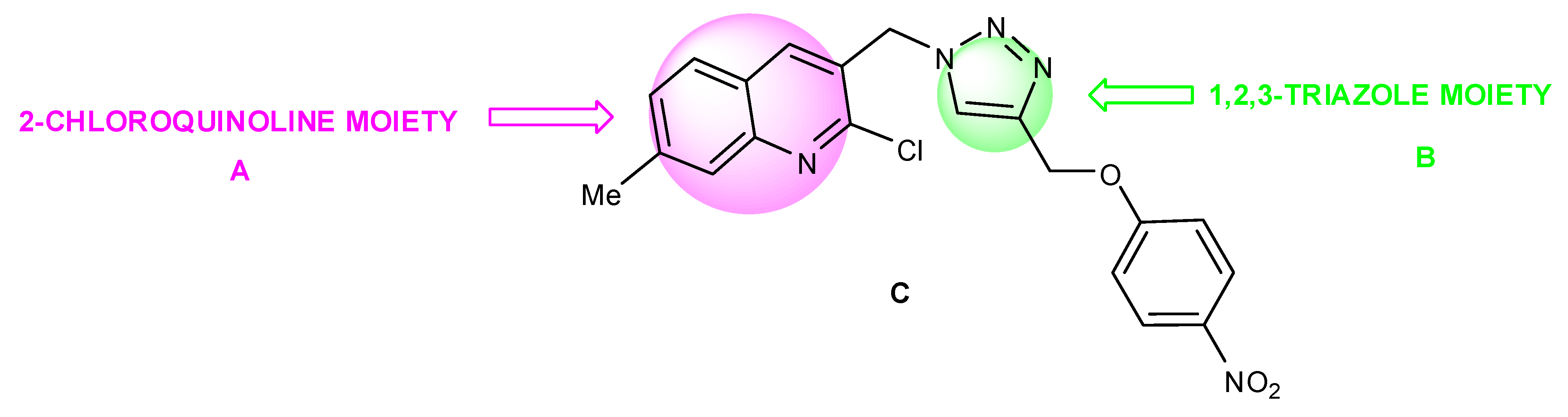 Molbank 2013 m797 sch001 550