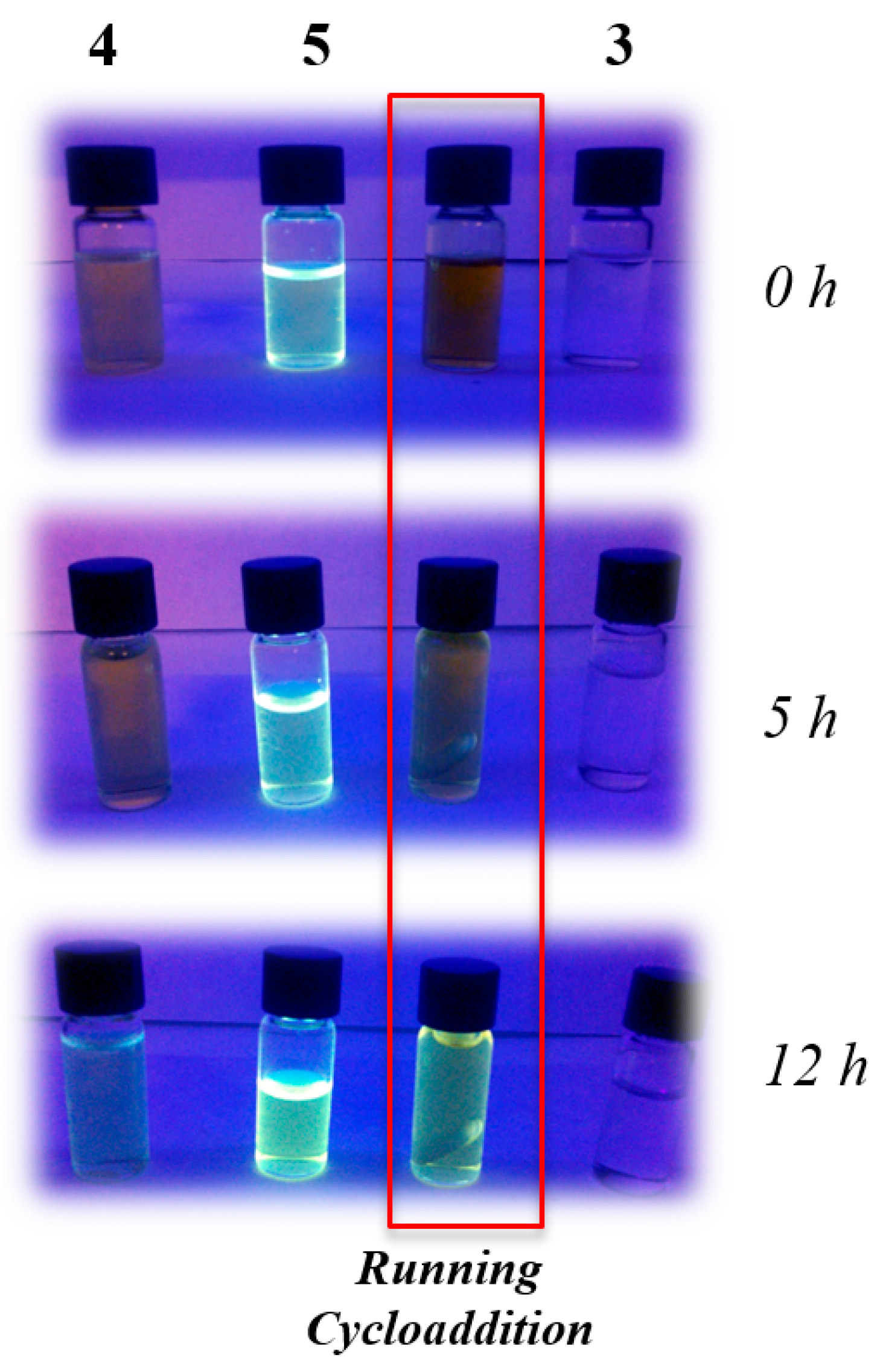 Molbank 2014 m837 g001 550